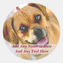 Search for create your own photo stickers Make