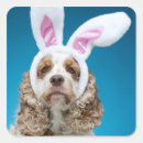 Search for easter dog stickers Nature
