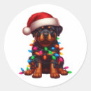 Search for rotties stickers Cute