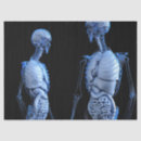 Search for human body organs Health