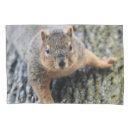 Search for squirrel pillowcases Wildlife