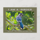 Search for blue jay photography Birder