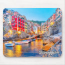 Search for terre electronics Riomaggiore
