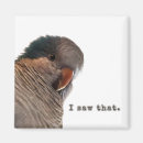 Search for quaker magnets Parrot