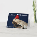 Search for reptile christmas cards Gecko