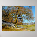 Search for cold season posters Outdoors