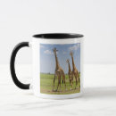 Search for giraffa camelopardalis mugs Nature