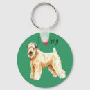 Search for coated key rings Soft coated wheaten terrier