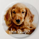 Search for spaniel badges Cocker