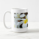 Search for plumeria coffee mugs Frangipani