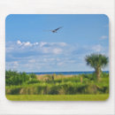 Search for beach mousepads Coast