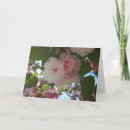 Search for cherry blossom tree cards Floral