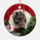 Search for rat christmas tree decorations Animals
