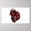 Search for three dimensional posters Vein