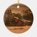 Search for appaloosa horse christmas tree decorations Appy