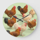 Search for chicken clocks Roosters