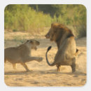 Search for kruger national park stickers South african