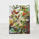 Search for forms cards Kunstformen der natur
