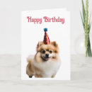 Search for pomeranian birthday cards Animal