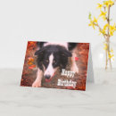 Search for border cards Cute