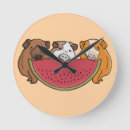 Search for guinea pig clocks Funny