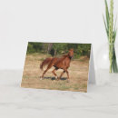 Search for chestnut horse cards Mare
