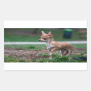 Search for little brown dog stickers Adorable