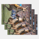 Search for aussie wrapping paper Funny
