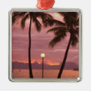 Search for tahiti christmas tree decorations Ocean