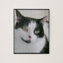 Search for black and white cat puzzles Pets
