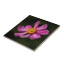 Search for anemone tiles Yellow