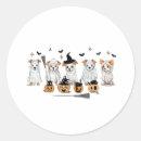 Search for ghost dog stickers Cat