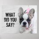 Search for day dog posters French bulldog