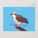 Search for ospreys postcards Hunter