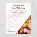 Search for leaf flyers Lawn care