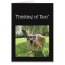 Search for roo Animal