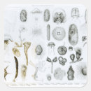 Search for zoology stickers Private