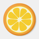Search for oranges magnets Slice