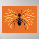 Search for ant posters Illustration