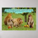 Search for barbary art Monkey