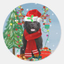 Search for newfoundland dog stickers Animals