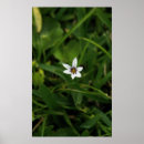 Search for single posters Photography