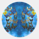 Search for butterflies fly stickers Wings