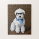 Search for bichon frise puzzles Puppy