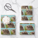 Search for funny valentines wrapping paper Avanti press