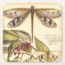 Search for dragonfly coasters Animals