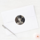 Search for black and white kitten stickers Adorable