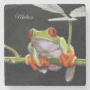 Search for frog coasters Toad