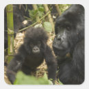 Search for mountain gorilla stickers Bamboo