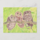 Search for little owl postcards Funny